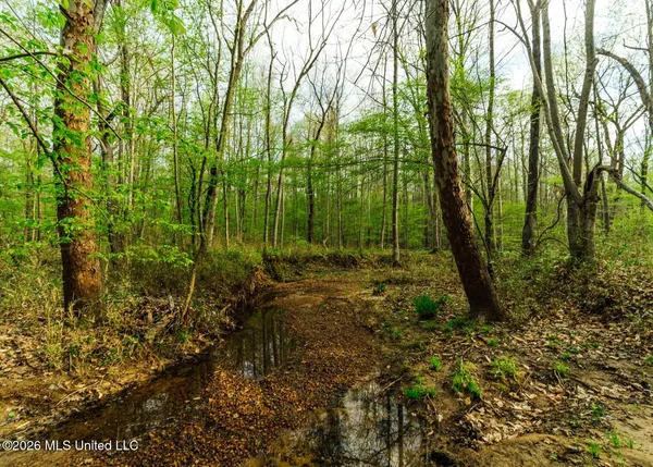 $1,099,800 | 2776 Sees Chapel Road, Sarah, MS 38665