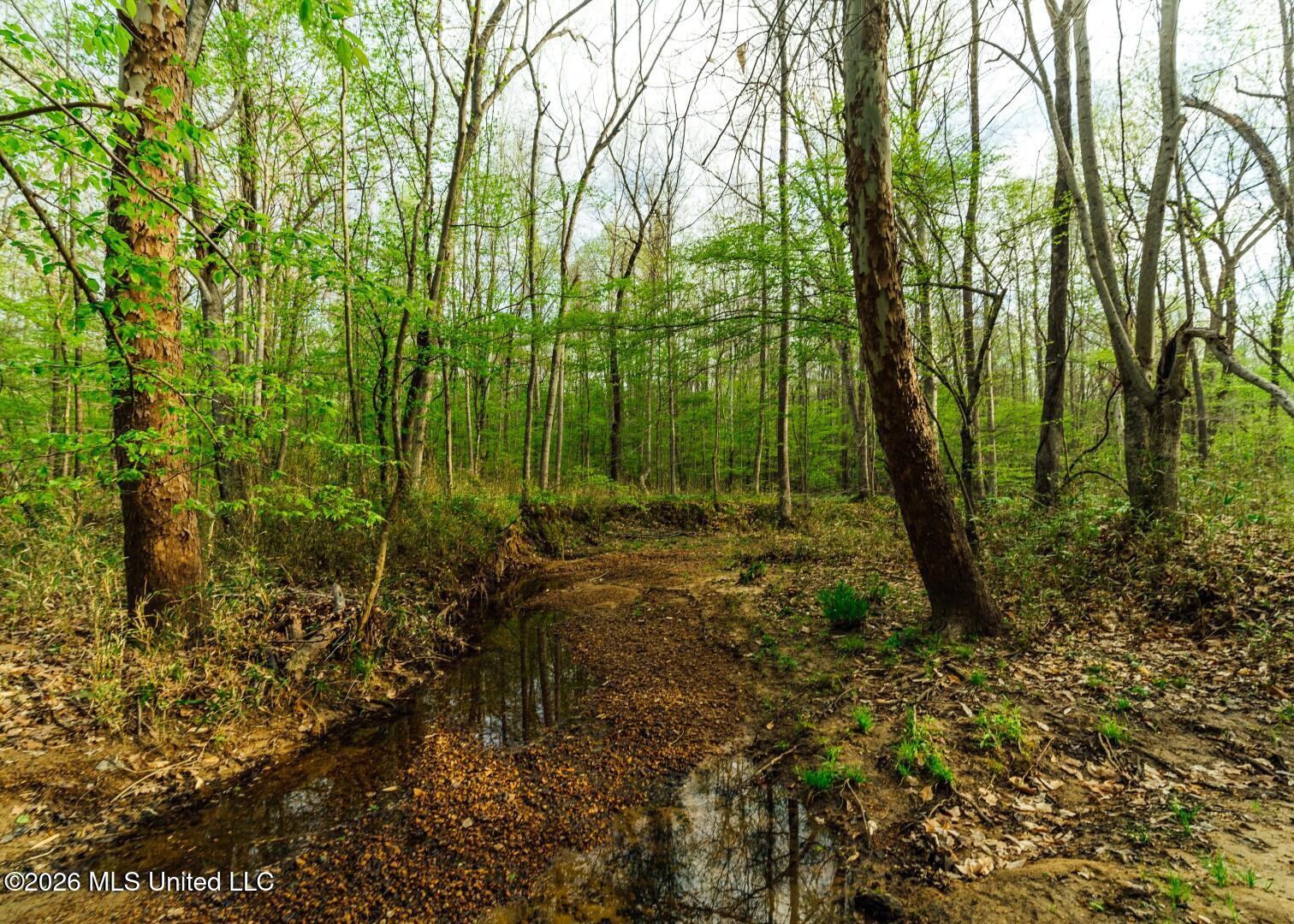 2776 Sees Chapel Road Sarah, MS 38665 - Photo 34 of 124 Panola 235 -49 (Large)