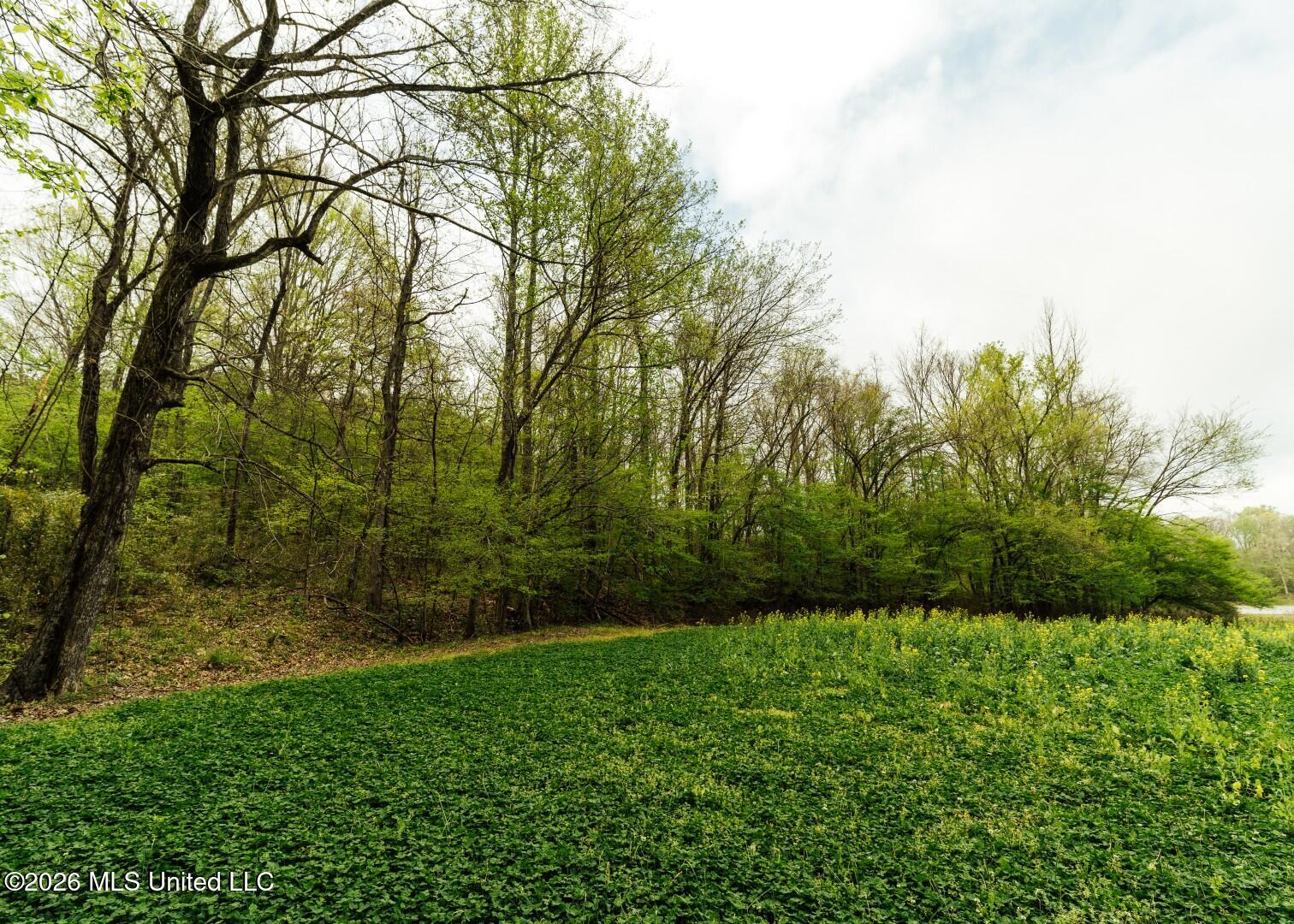 2776 Sees Chapel Road Sarah, MS 38665 - Photo 35 of 124 Panola 235 -50 (Large)