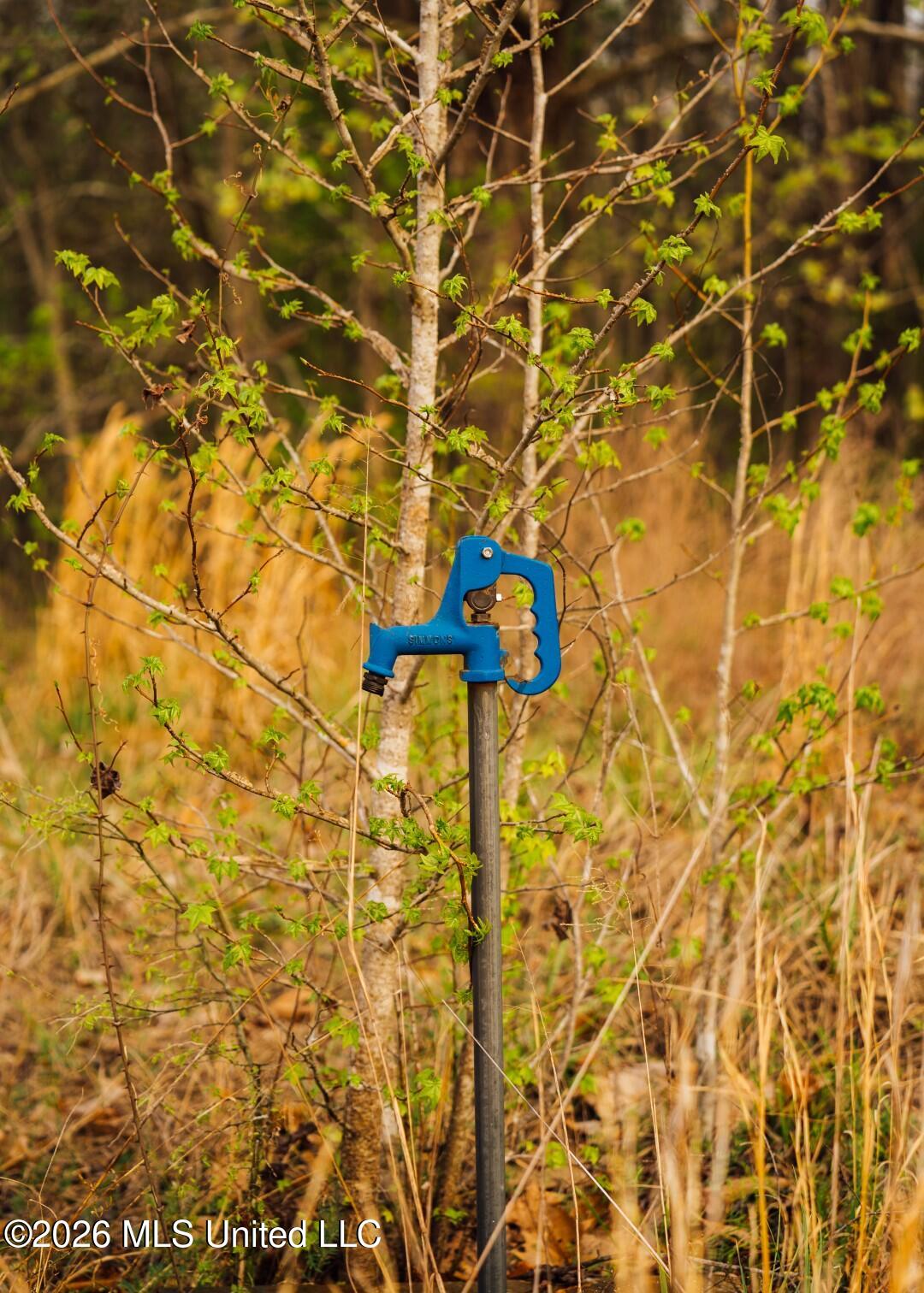 2776 Sees Chapel Road Sarah, MS 38665 - Photo 36 of 124 Panola 235 -51 (Large)