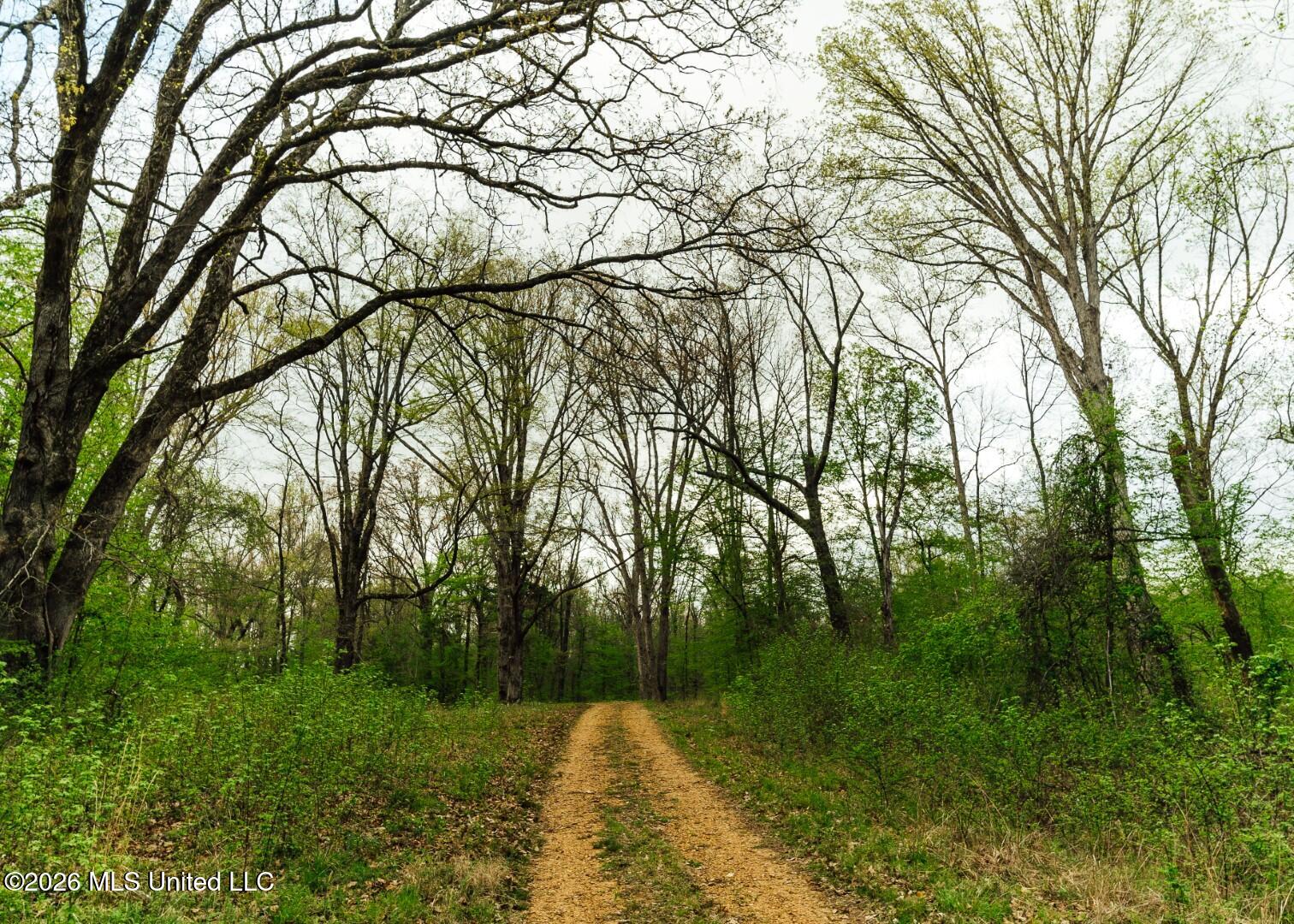 2776 Sees Chapel Road Sarah, MS 38665 - Photo 37 of 124 Panola 235 -52 (Large)