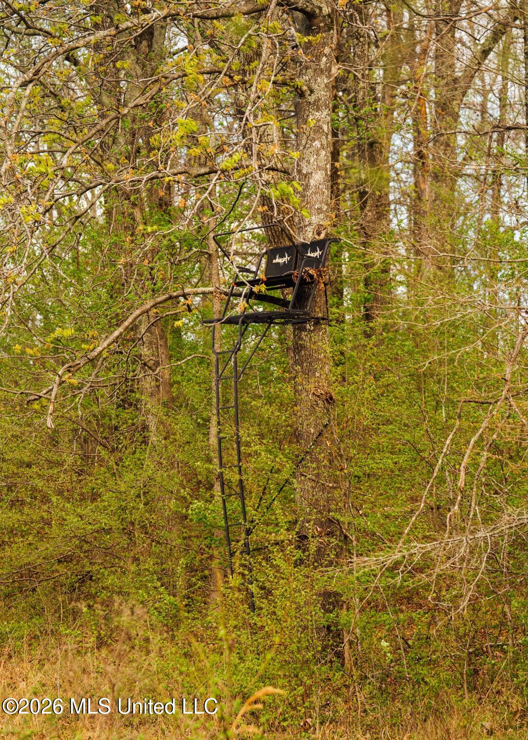 2776 Sees Chapel Road Sarah, MS 38665 - Photo 38 of 124 Panola 235 -53 (Large)