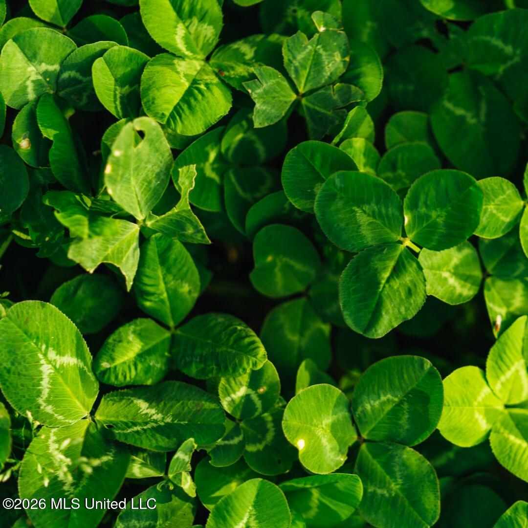 2776 Sees Chapel Road Sarah, MS 38665 - Photo 39 of 124 Panola 235 -55 (Large)