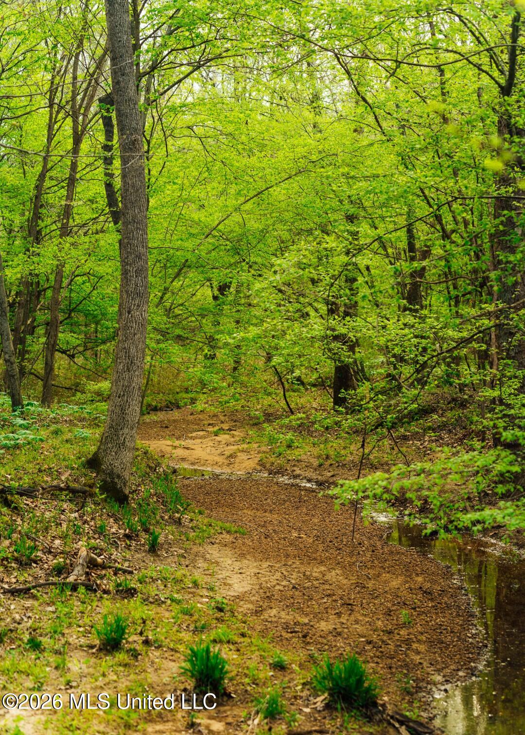 2776 Sees Chapel Road Sarah, MS 38665 - Photo 40 of 124 Panola 235 -56 (Large)