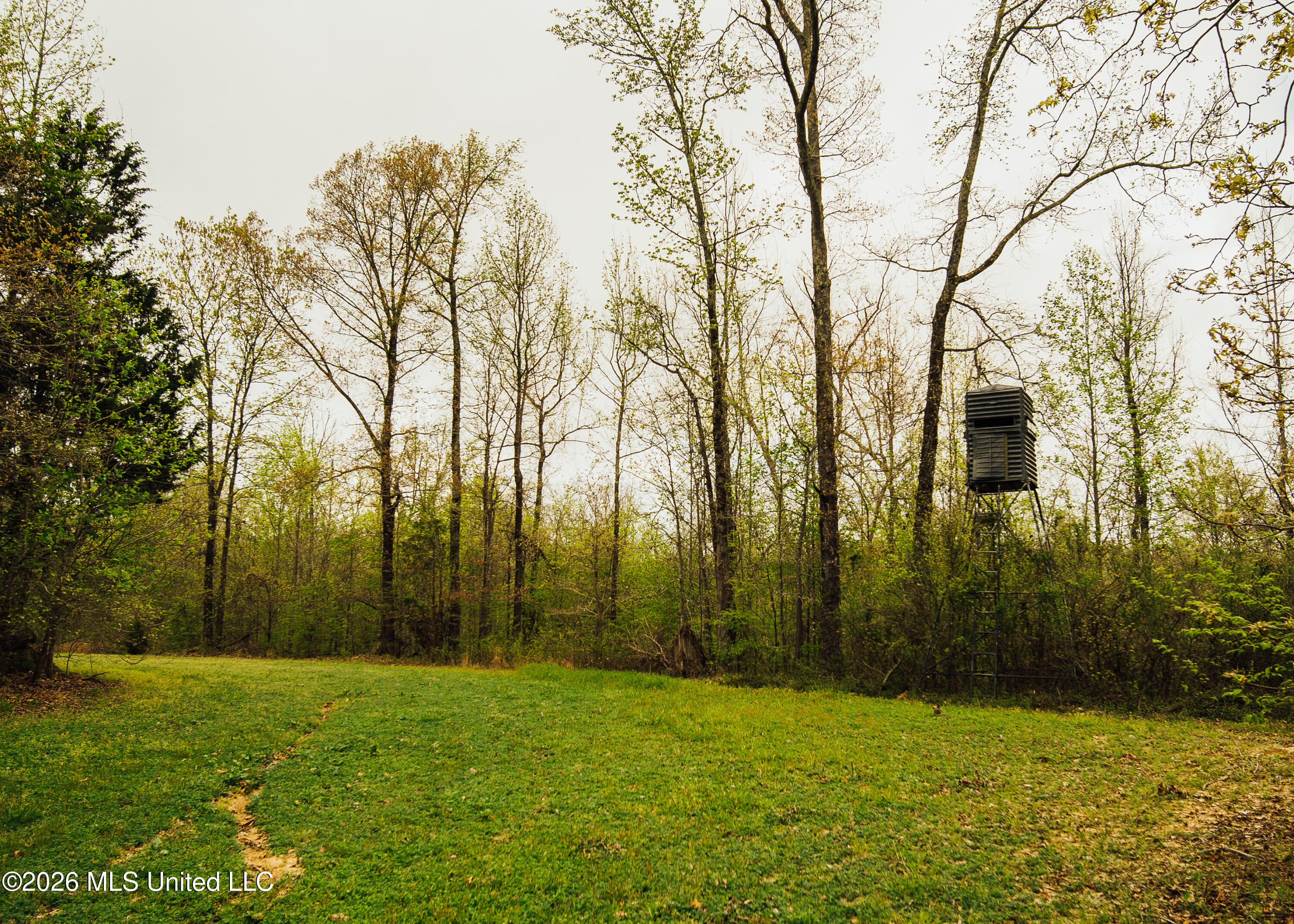 2776 Sees Chapel Road Sarah, MS 38665 - Photo 4 of 124 4