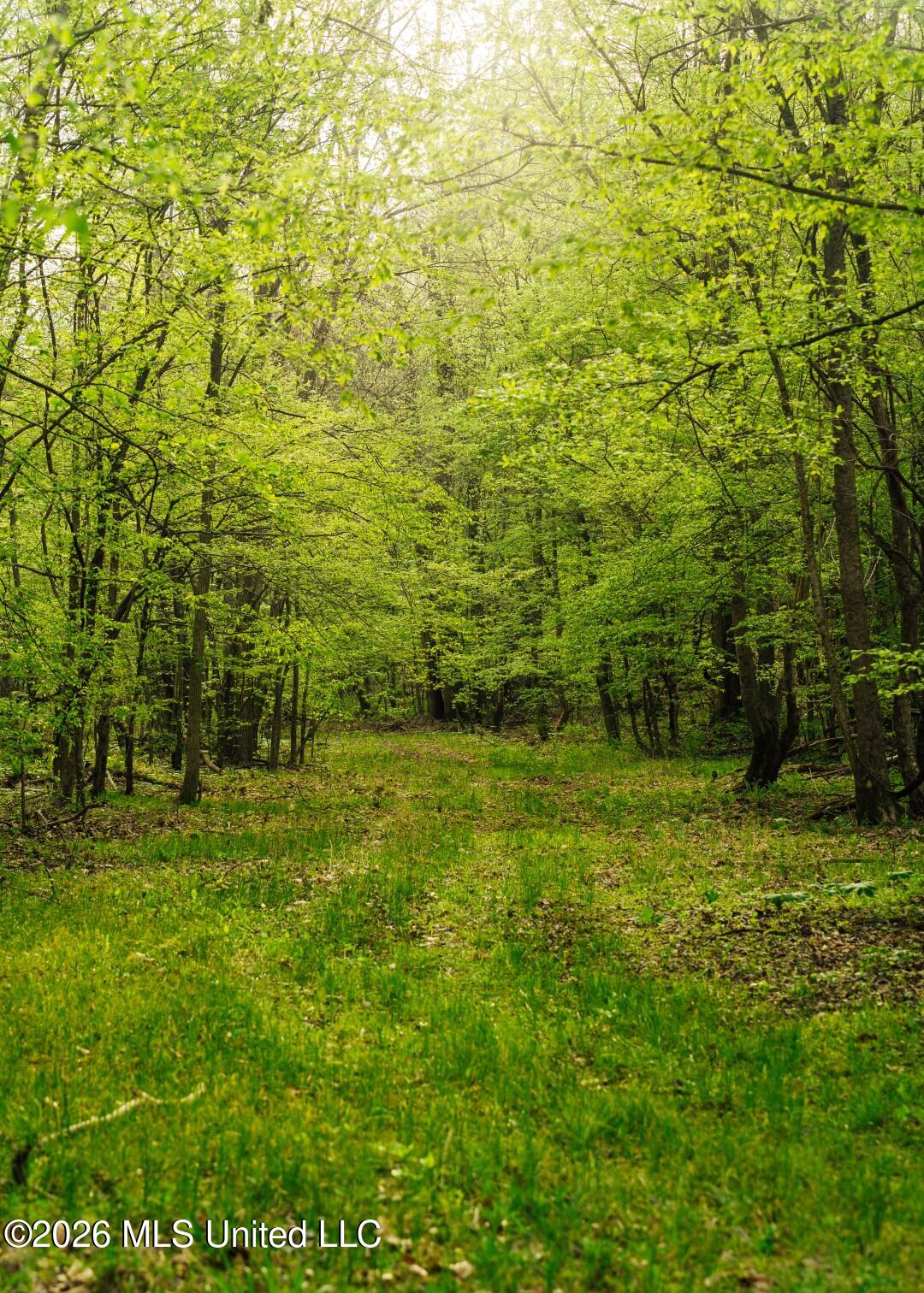 2776 Sees Chapel Road Sarah, MS 38665 - Photo 41 of 124 Panola 235 -57 (Large)