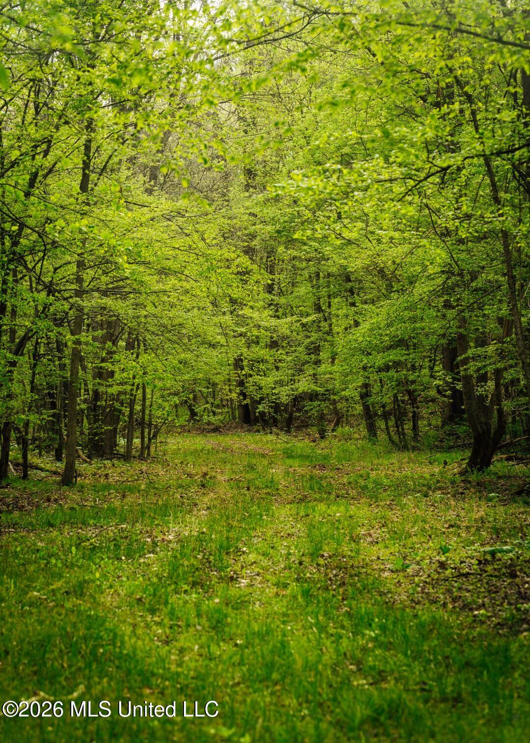 2776 Sees Chapel Road Sarah, MS 38665 - Photo 42 of 124 Panola 235 -58 (Large)