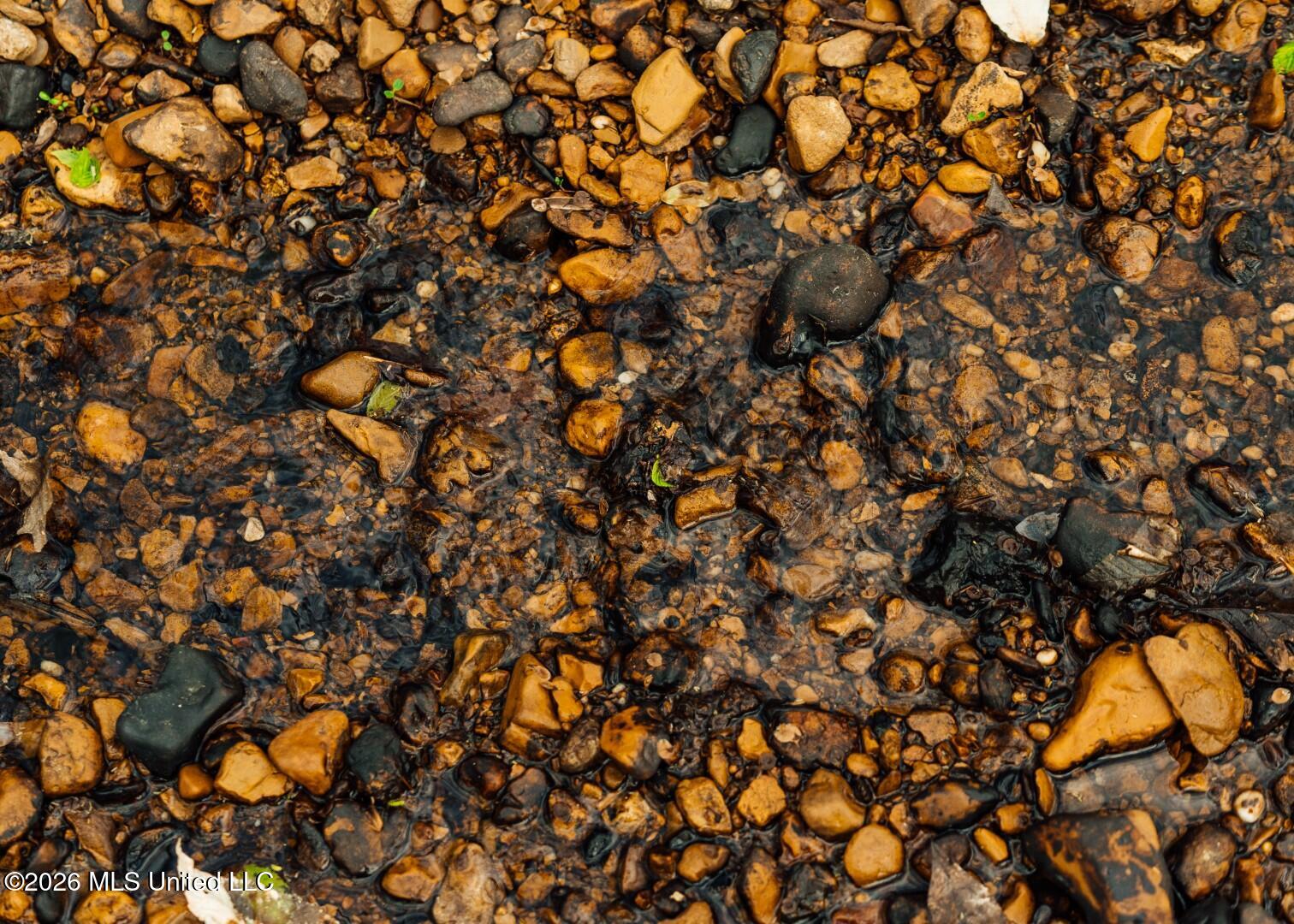 2776 Sees Chapel Road Sarah, MS 38665 - Photo 43 of 124 Panola 235 -59 (Large)