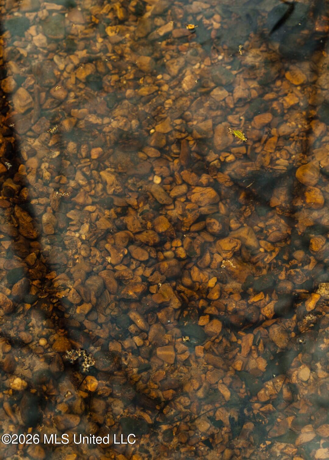 2776 Sees Chapel Road Sarah, MS 38665 - Photo 44 of 124 Panola 235 -60 (Large)