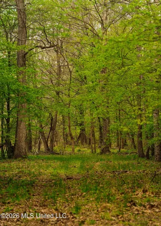 $1,099,800 | 2776 Sees Chapel Road, Sarah, MS 38665