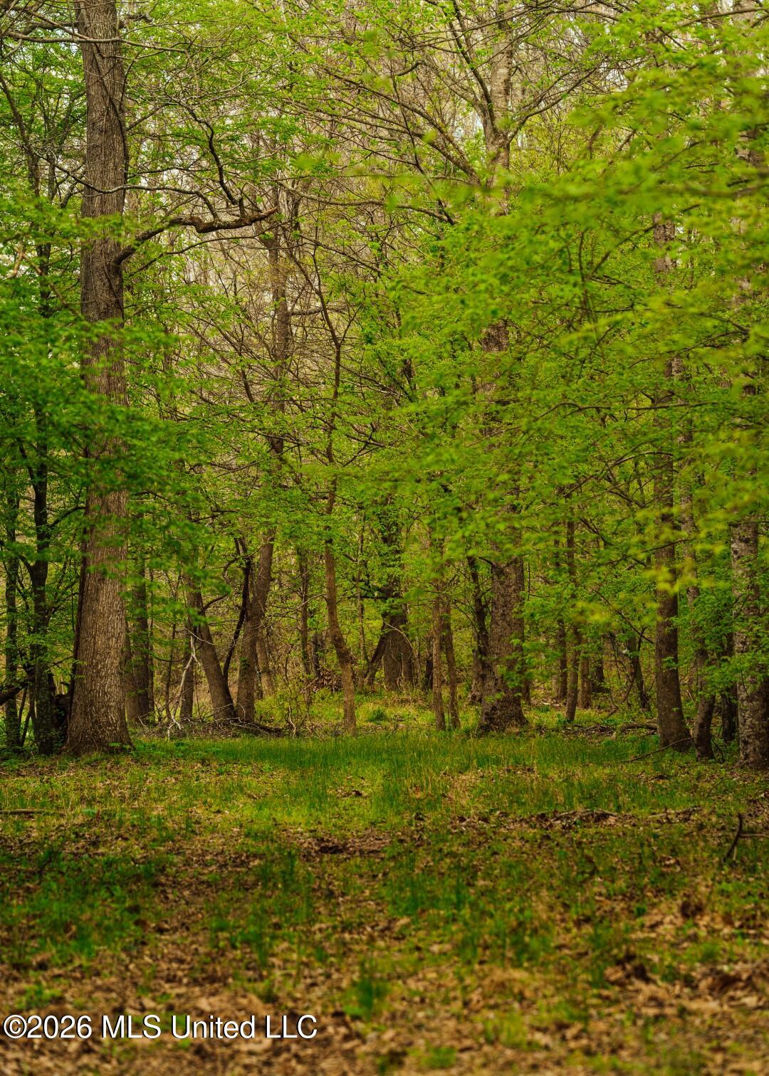 2776 Sees Chapel Road Sarah, MS 38665 - Photo 47 of 124 Panola 235 -63 (Large)