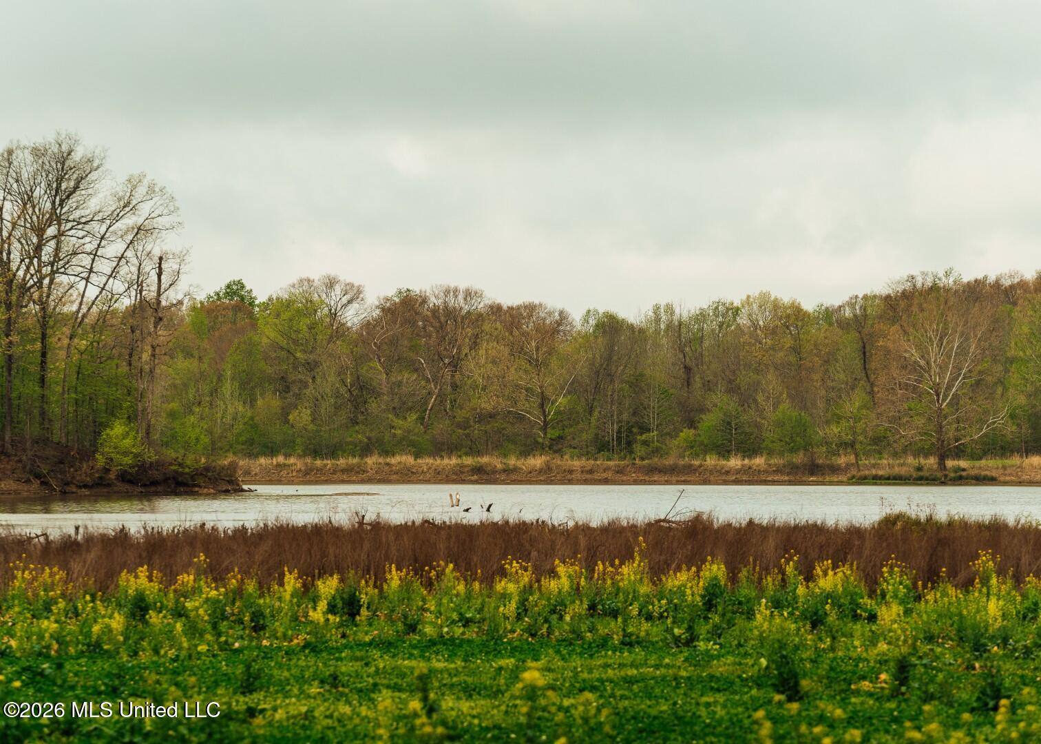 2776 Sees Chapel Road Sarah, MS 38665 - Photo 48 of 124 Panola 235 -64 (Large)