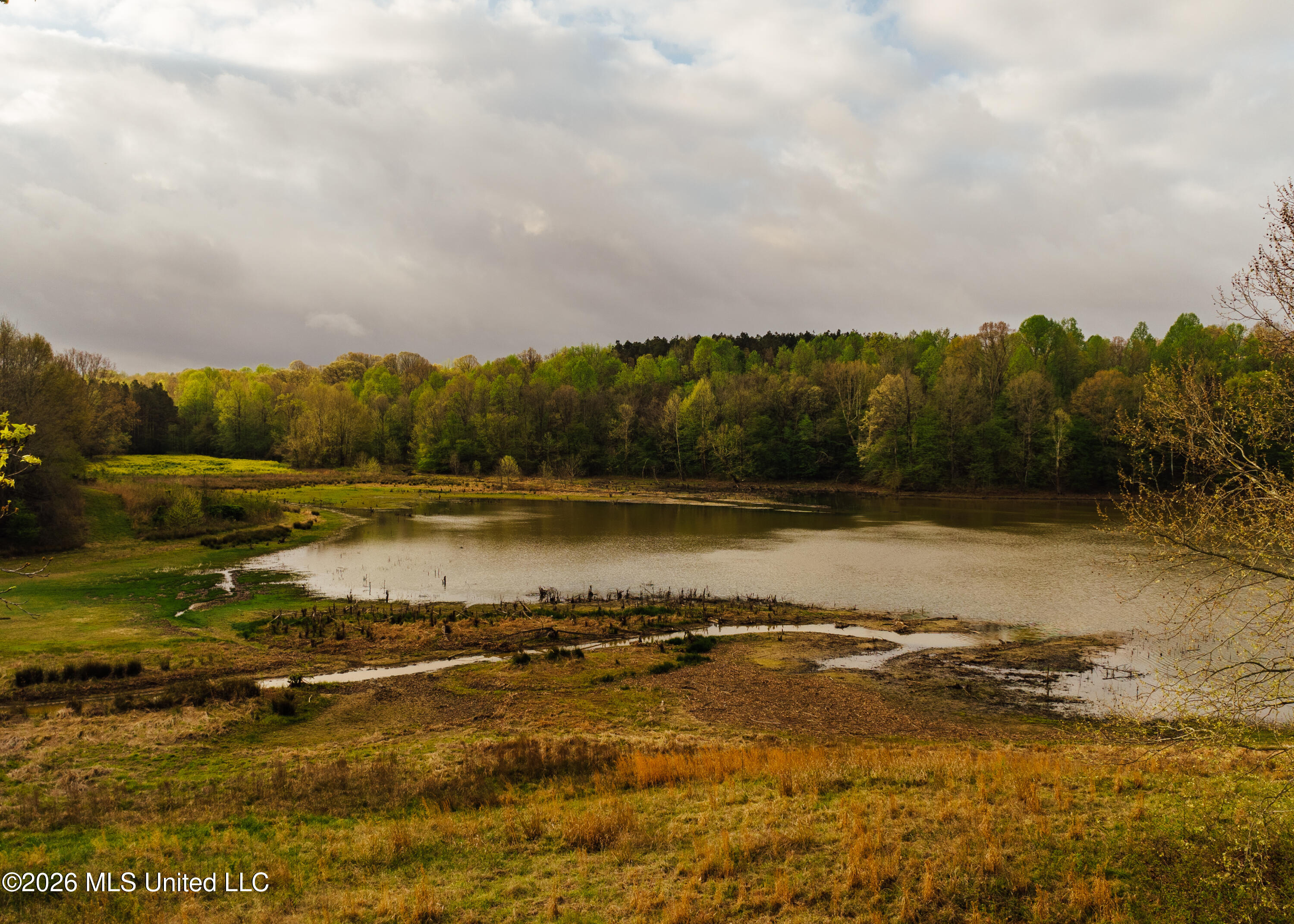 2776 Sees Chapel Road Sarah, MS 38665 - Photo 5 of 124 Panola 235 -1