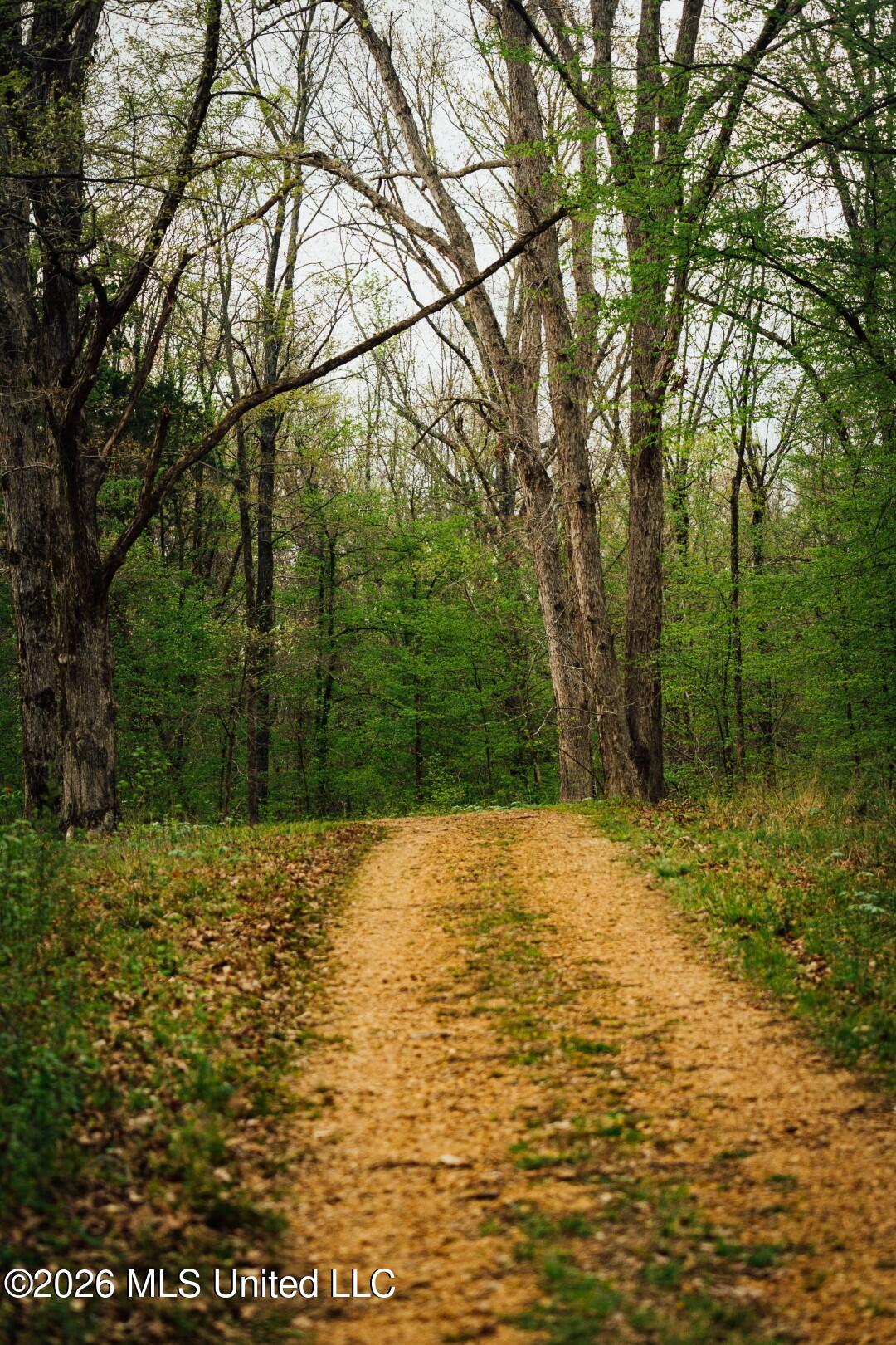 2776 Sees Chapel Road Sarah, MS 38665 - Photo 51 of 124 Panola 235 -68 (Large)