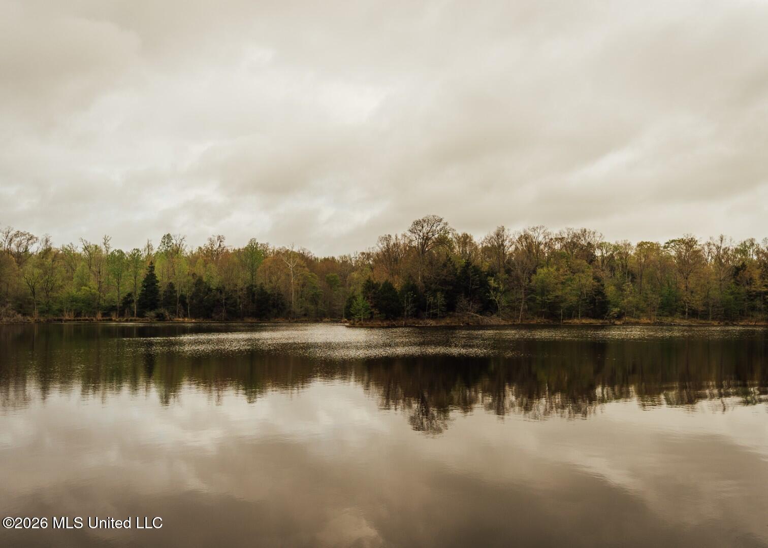 2776 Sees Chapel Road Sarah, MS 38665 - Photo 52 of 124 Panola 235 -69 (Large)