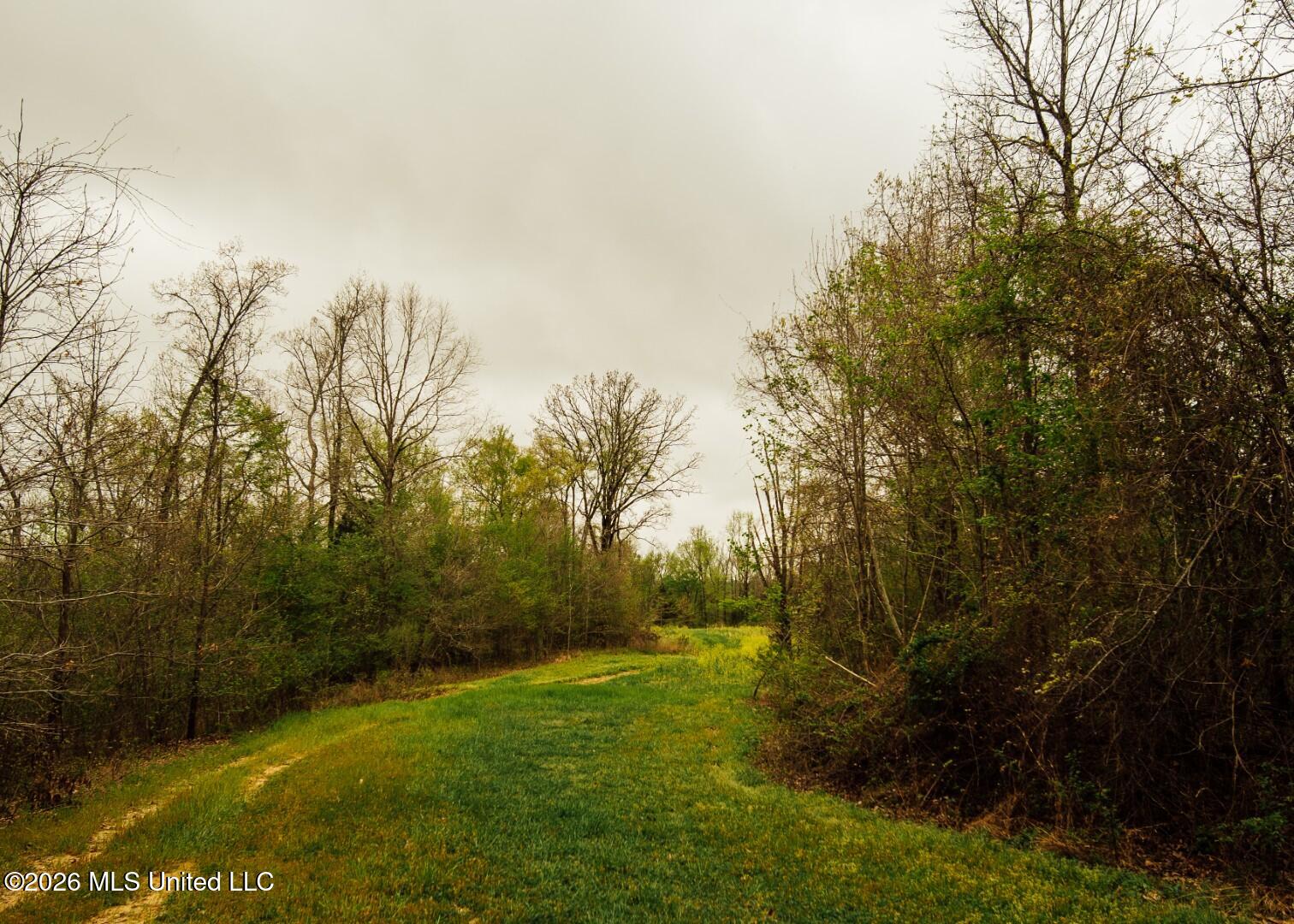 2776 Sees Chapel Road Sarah, MS 38665 - Photo 53 of 124 Panola 235 -70 (Large)