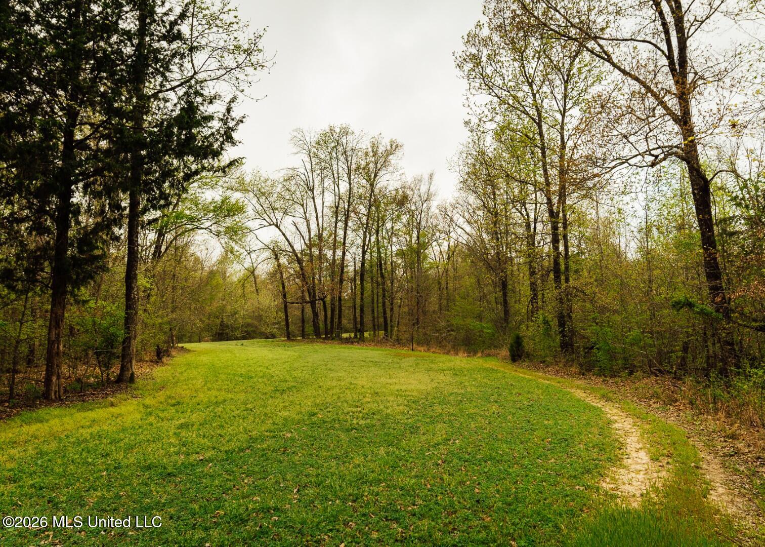 2776 Sees Chapel Road Sarah, MS 38665 - Photo 54 of 124 Panola 235 -73 (Large)