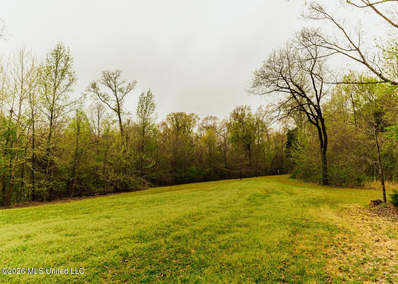 2776 Sees Chapel Road Sarah, MS 38665 - Photo 55 of 124 Panola 235 -74 (Large)