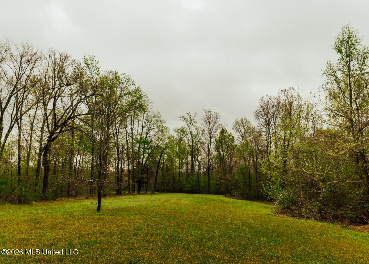 2776 Sees Chapel Road Sarah, MS 38665 - Photo 56 of 124 Panola 235 -75 (Large)