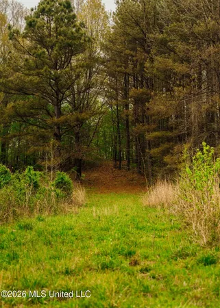 $1,099,800 | 2776 Sees Chapel Road, Sarah, MS 38665