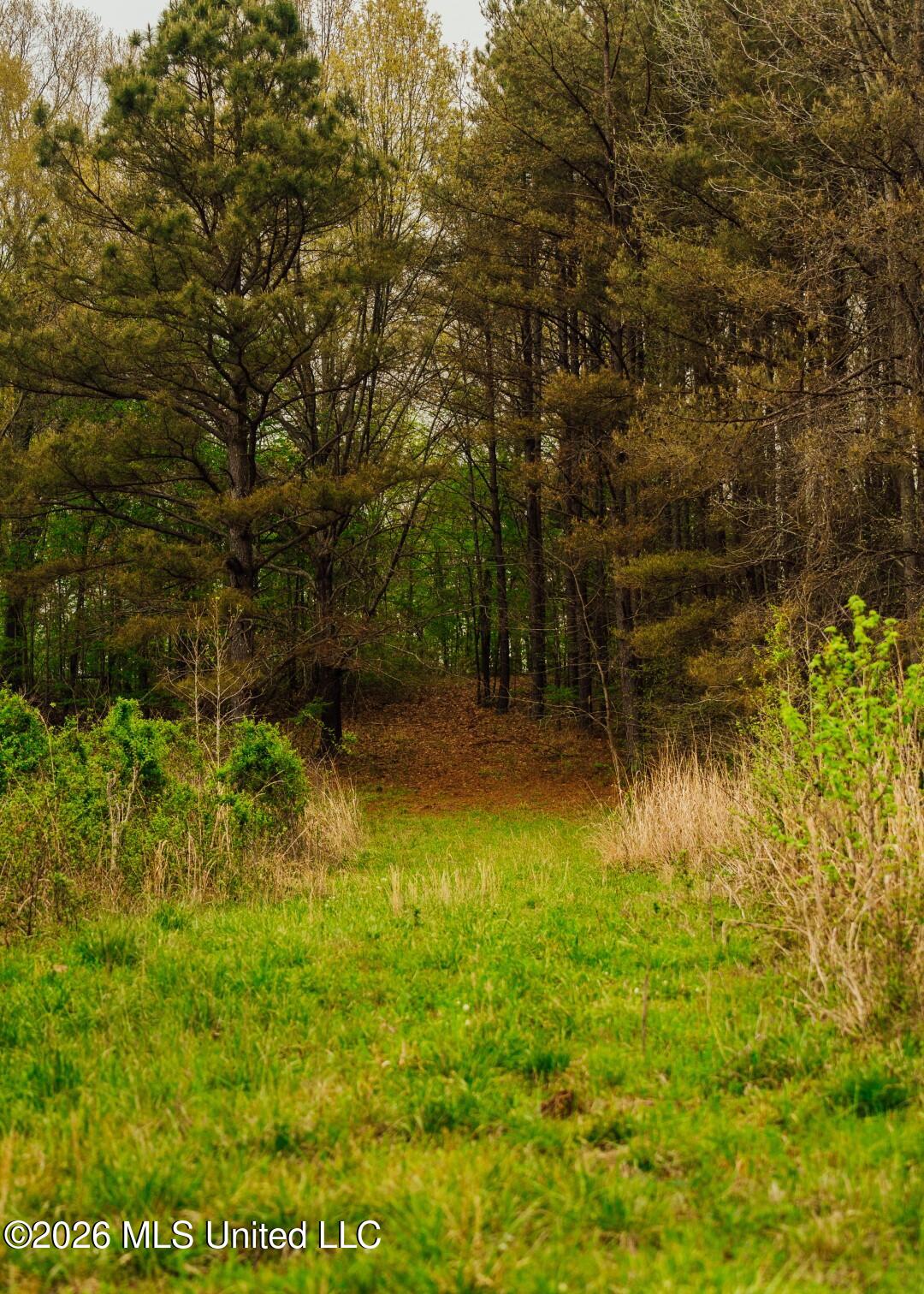 2776 Sees Chapel Road Sarah, MS 38665 - Photo 57 of 124 Panola 235 -76 (Large)