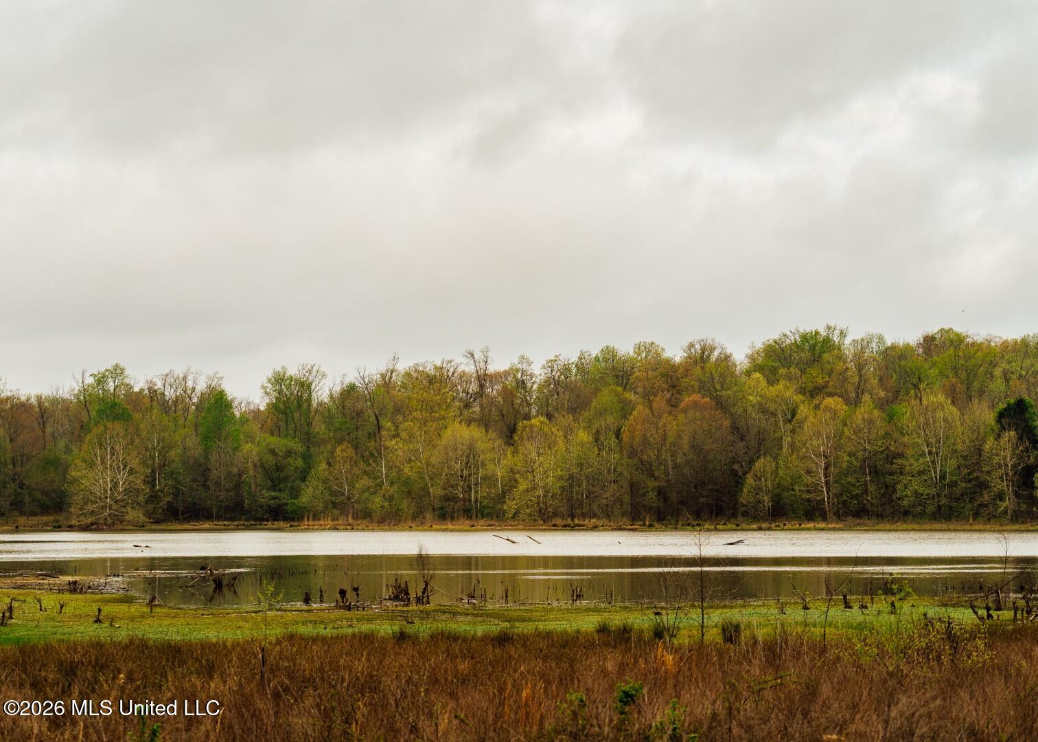 2776 Sees Chapel Road Sarah, MS 38665 - Photo 59 of 124 Panola 235 -78 (Large)