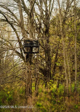 $1,099,800 | 2776 Sees Chapel Road, Sarah, MS 38665