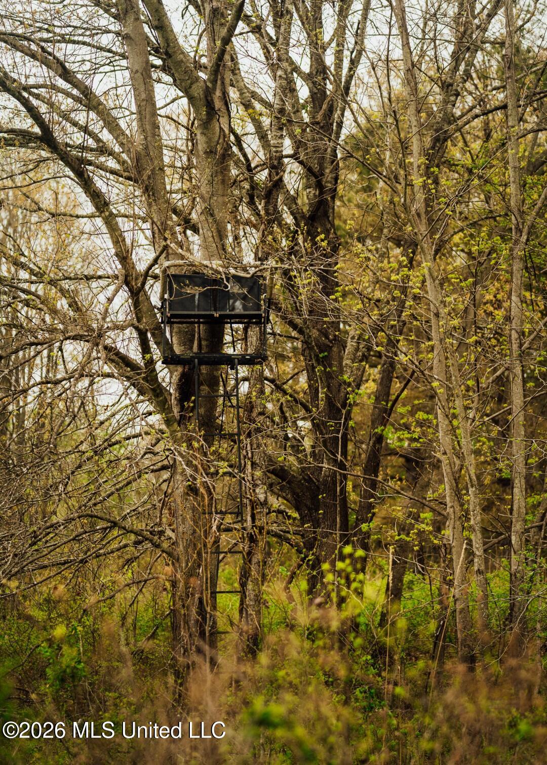 2776 Sees Chapel Road Sarah, MS 38665 - Photo 60 of 124 Panola 235 -79 (Large)