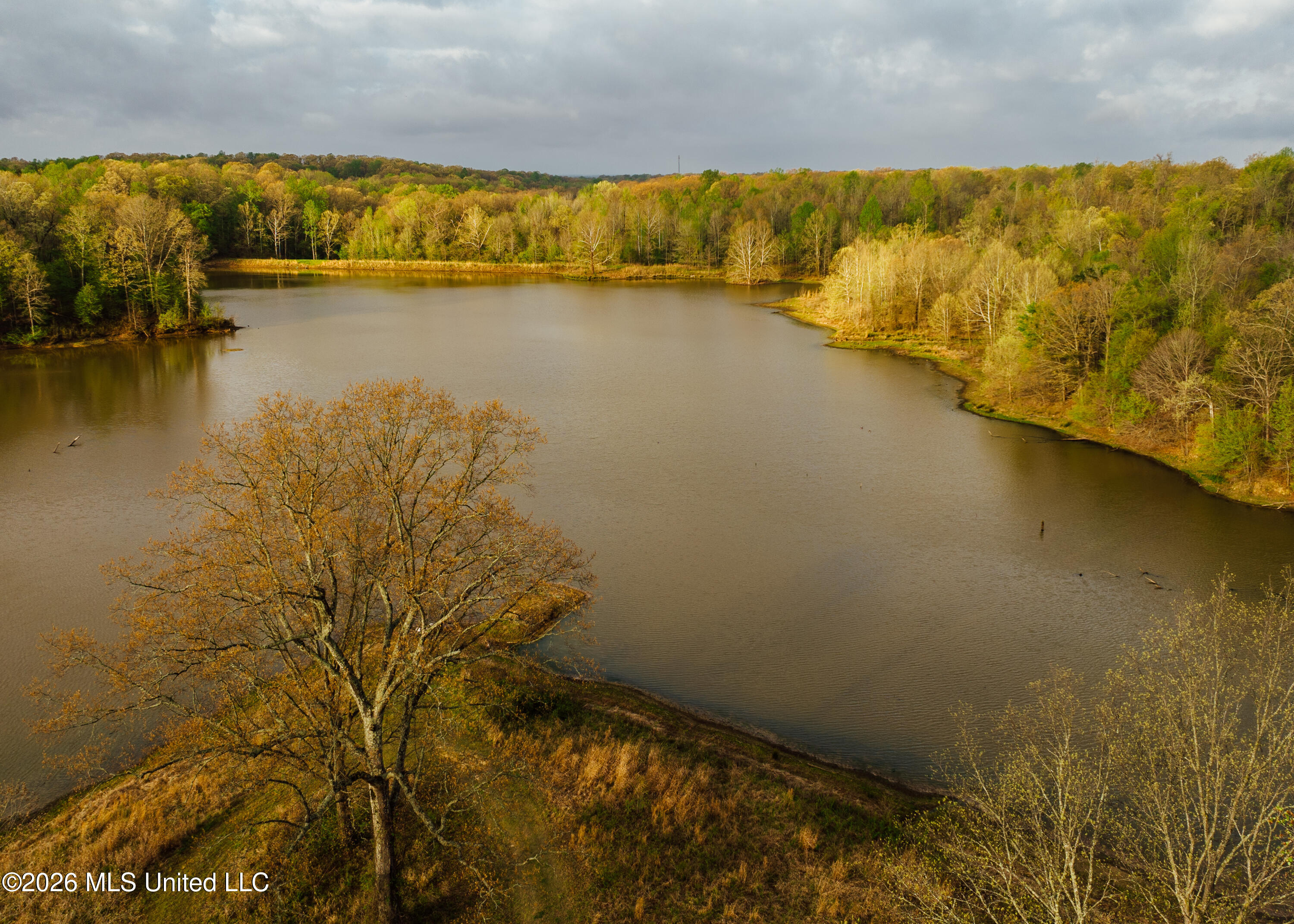2776 Sees Chapel Road Sarah, MS 38665 - Photo 6 of 124 Panola 235 -3