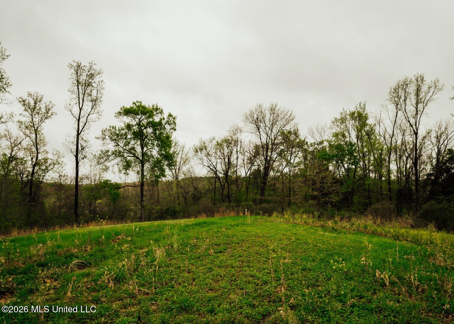 2776 Sees Chapel Road Sarah, MS 38665 - Photo 63 of 124 Panola 235 -82 (Large)