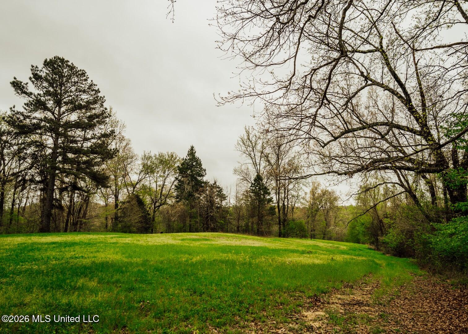 2776 Sees Chapel Road Sarah, MS 38665 - Photo 64 of 124 Panola 235 -84 (Large)