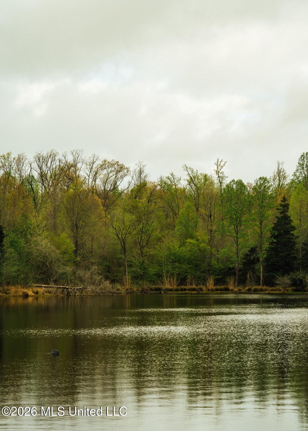 2776 Sees Chapel Road Sarah, MS 38665 - Photo 65 of 124 Panola 235 -85 (Large)