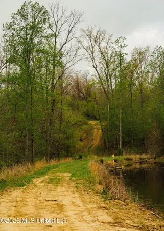 $1,099,800 | 2776 Sees Chapel Road, Sarah, MS 38665