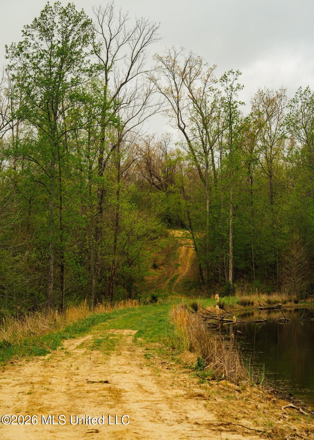 2776 Sees Chapel Road Sarah, MS 38665 - Photo 66 of 124 Panola 235 -86 (Large)