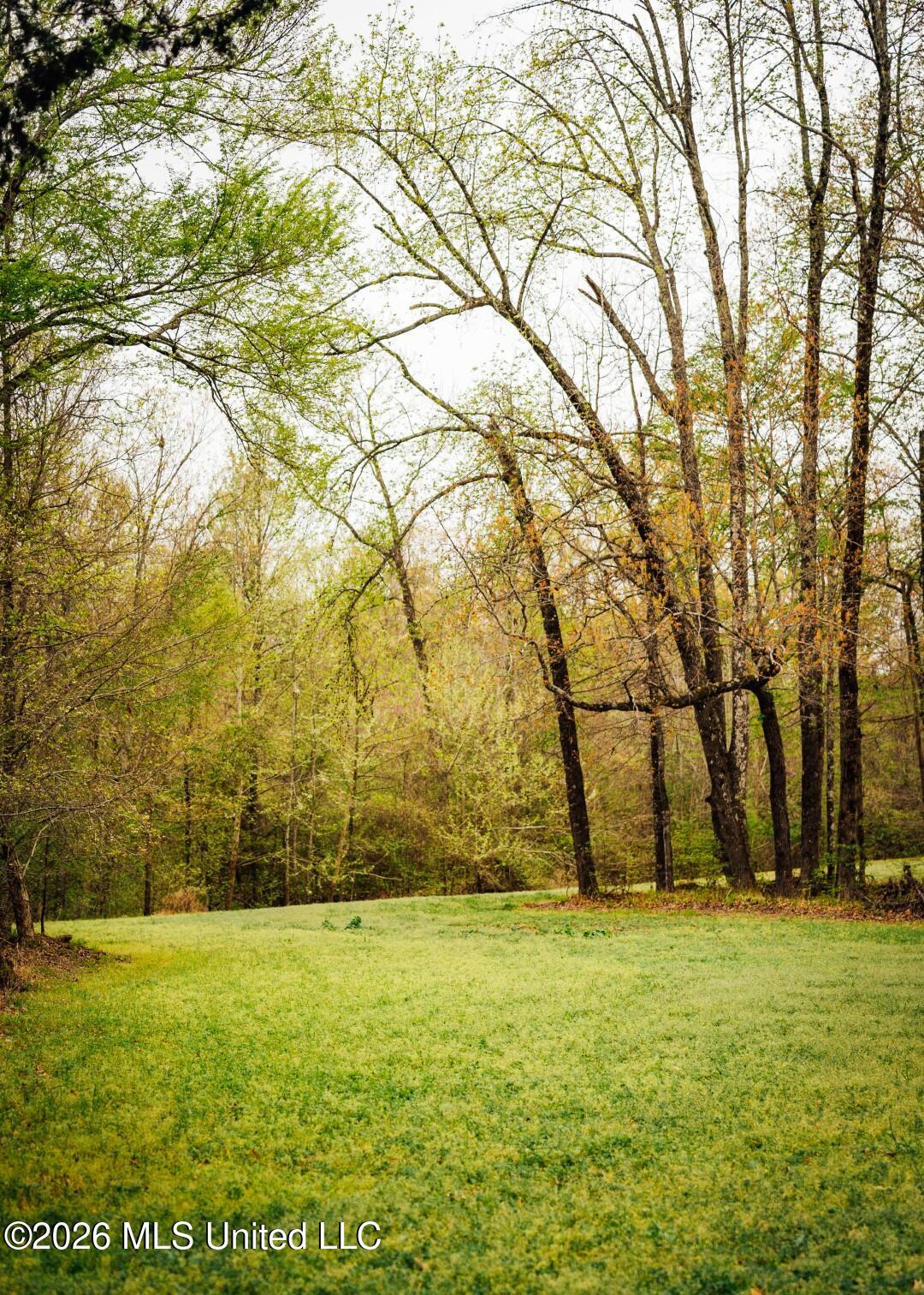 2776 Sees Chapel Road Sarah, MS 38665 - Photo 68 of 124 Panola 235 -88 (Large)