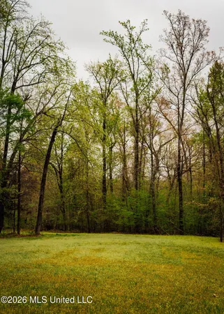 $1,099,800 | 2776 Sees Chapel Road, Sarah, MS 38665