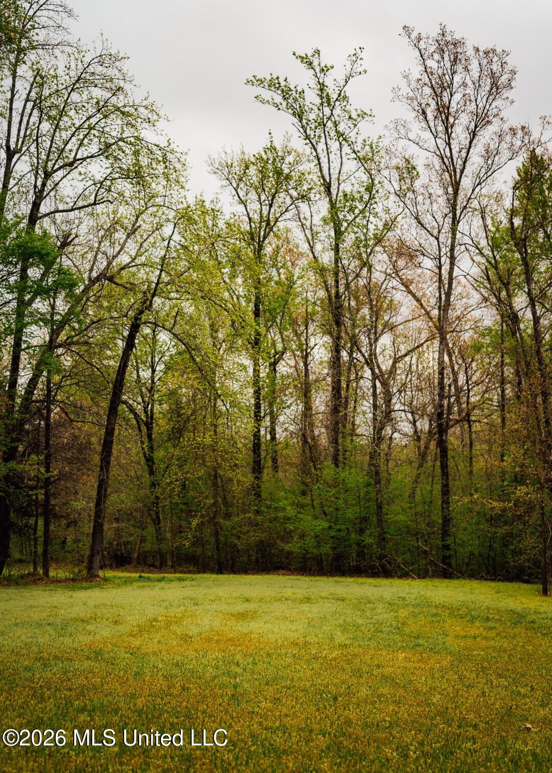 2776 Sees Chapel Road Sarah, MS 38665 - Photo 69 of 124 Panola 235 -89 (Large)