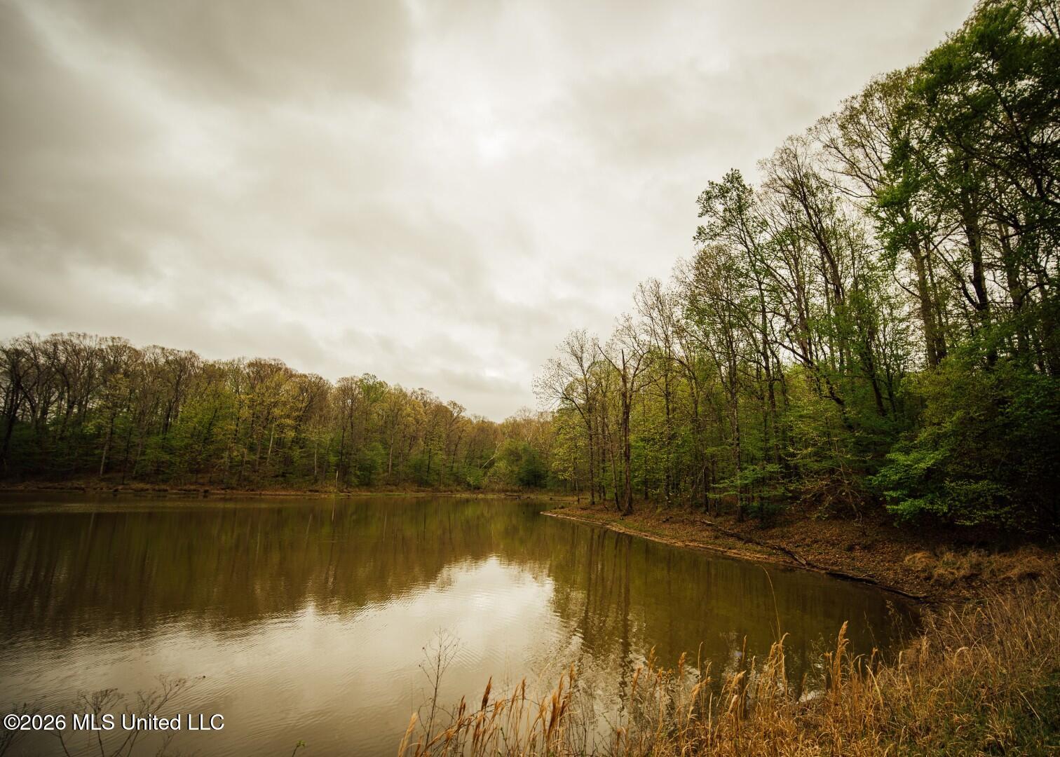 2776 Sees Chapel Road Sarah, MS 38665 - Photo 71 of 124 Panola 235 -91 (Large)