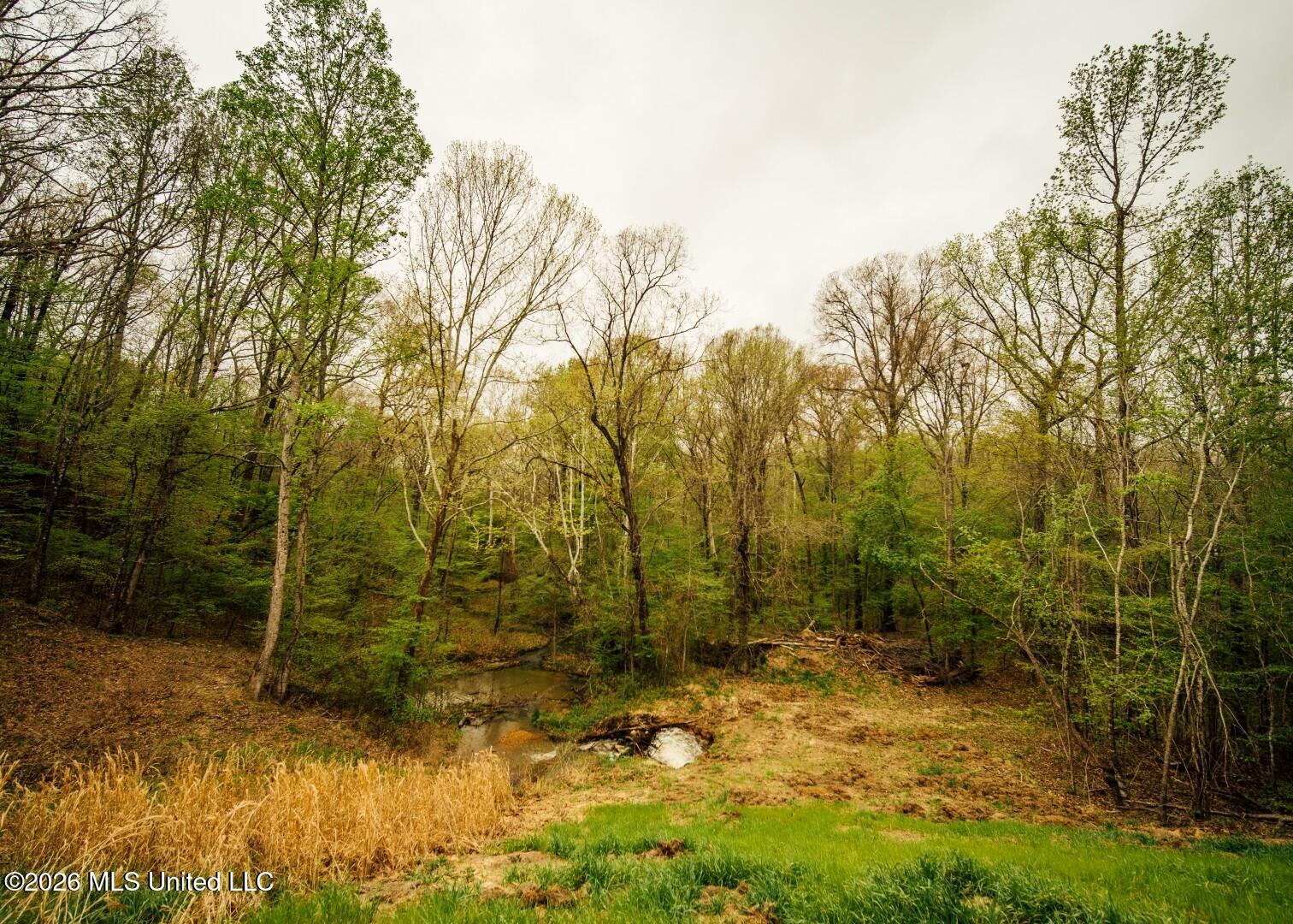 2776 Sees Chapel Road Sarah, MS 38665 - Photo 73 of 124 Panola 235 -93 (Large)