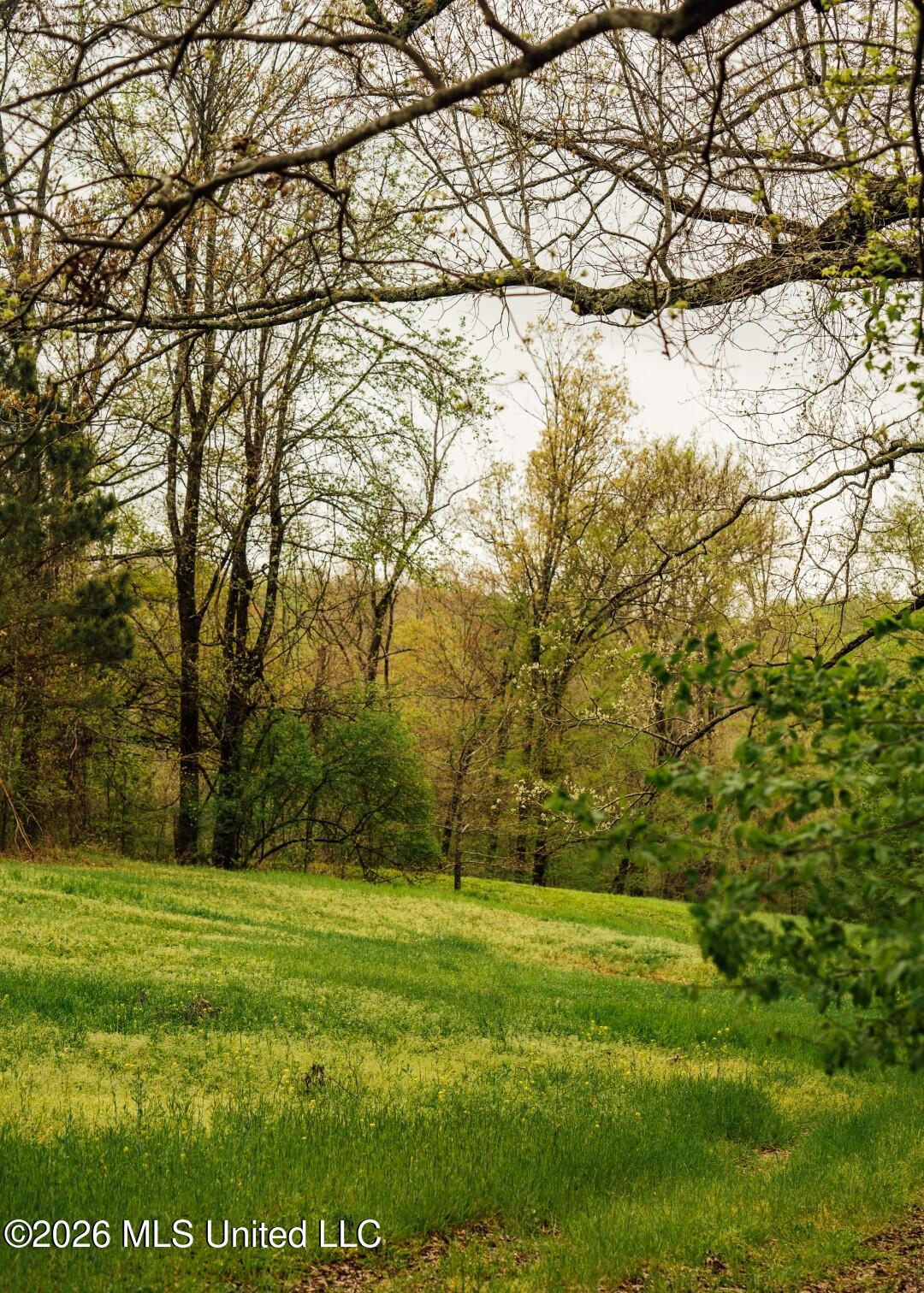 2776 Sees Chapel Road Sarah, MS 38665 - Photo 75 of 124 Panola 235 -95 (Large)