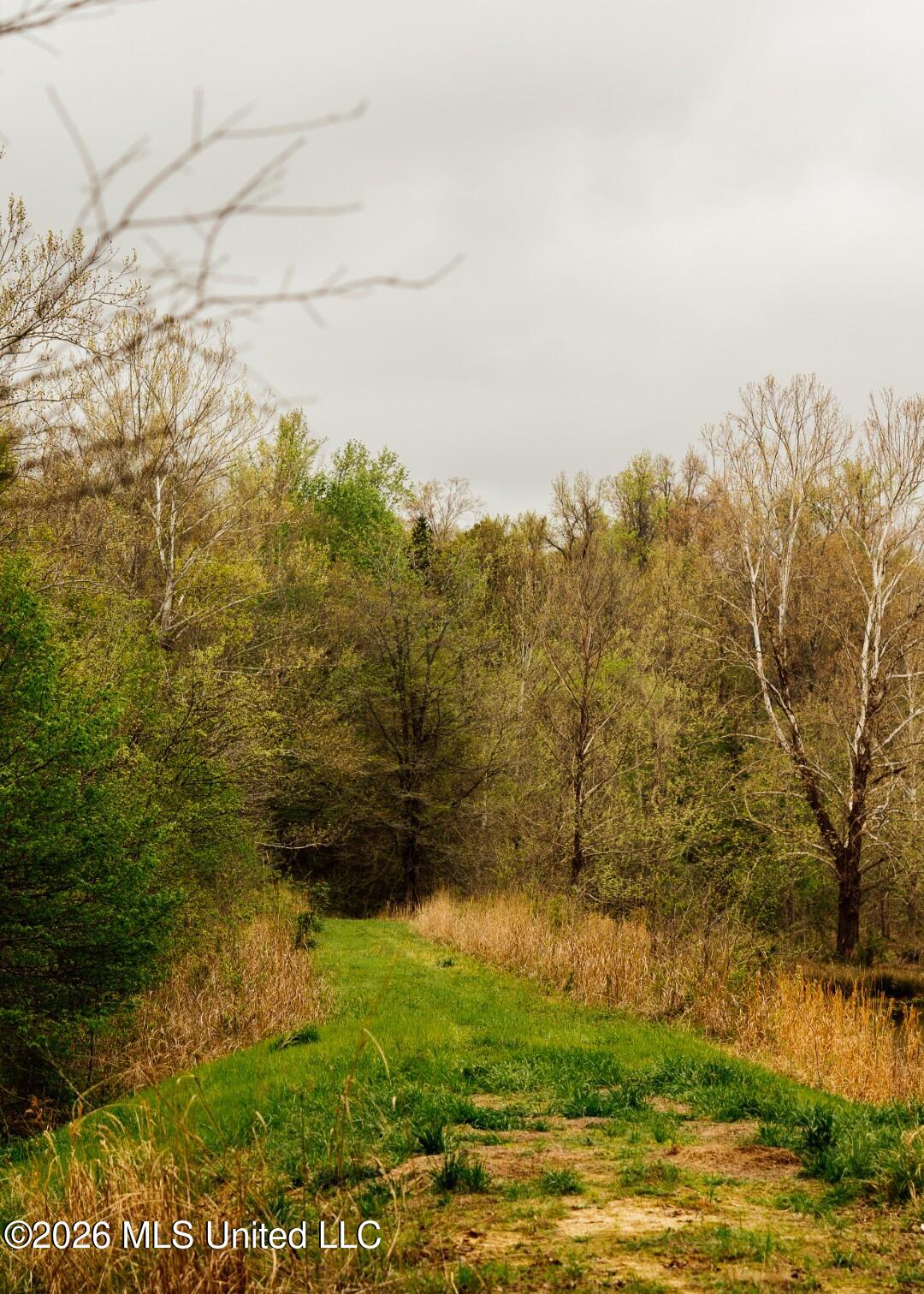 2776 Sees Chapel Road Sarah, MS 38665 - Photo 85 of 124 Panola 235 -105 (Large)