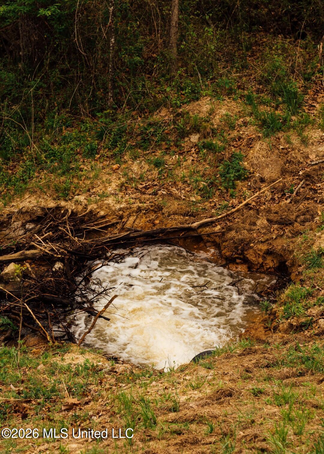 2776 Sees Chapel Road Sarah, MS 38665 - Photo 87 of 124 Panola 235 -107 (Large)