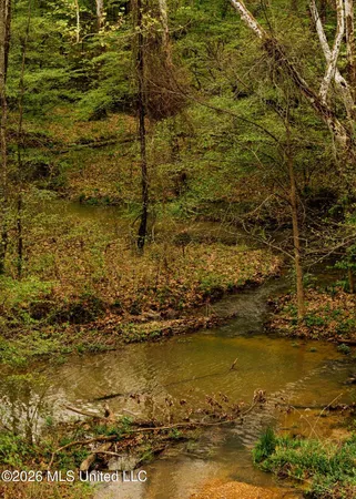 $1,099,800 | 2776 Sees Chapel Road, Sarah, MS 38665