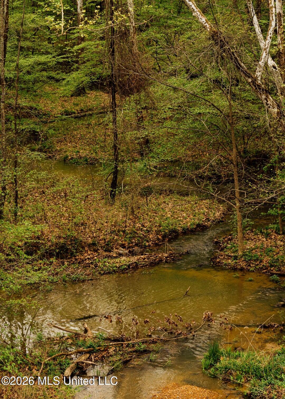 2776 Sees Chapel Road Sarah, MS 38665 - Photo 88 of 124 Panola 235 -108 (Large)