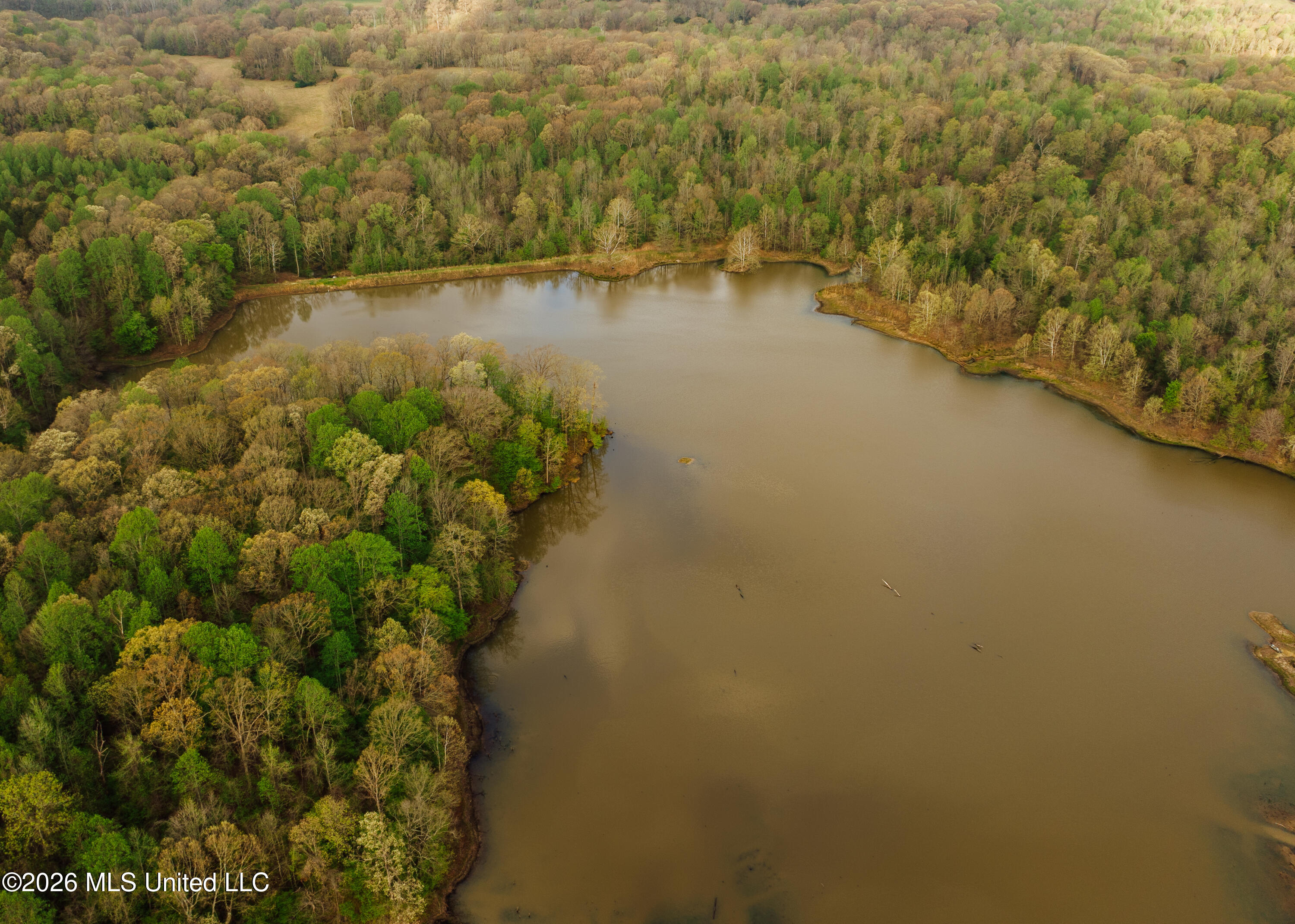 2776 Sees Chapel Road Sarah, MS 38665 - Photo 9 of 124 Panola 235 -9