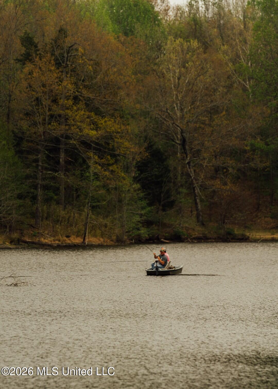 2776 Sees Chapel Road Sarah, MS 38665 - Photo 95 of 124 Panola 235 -116 (Large)