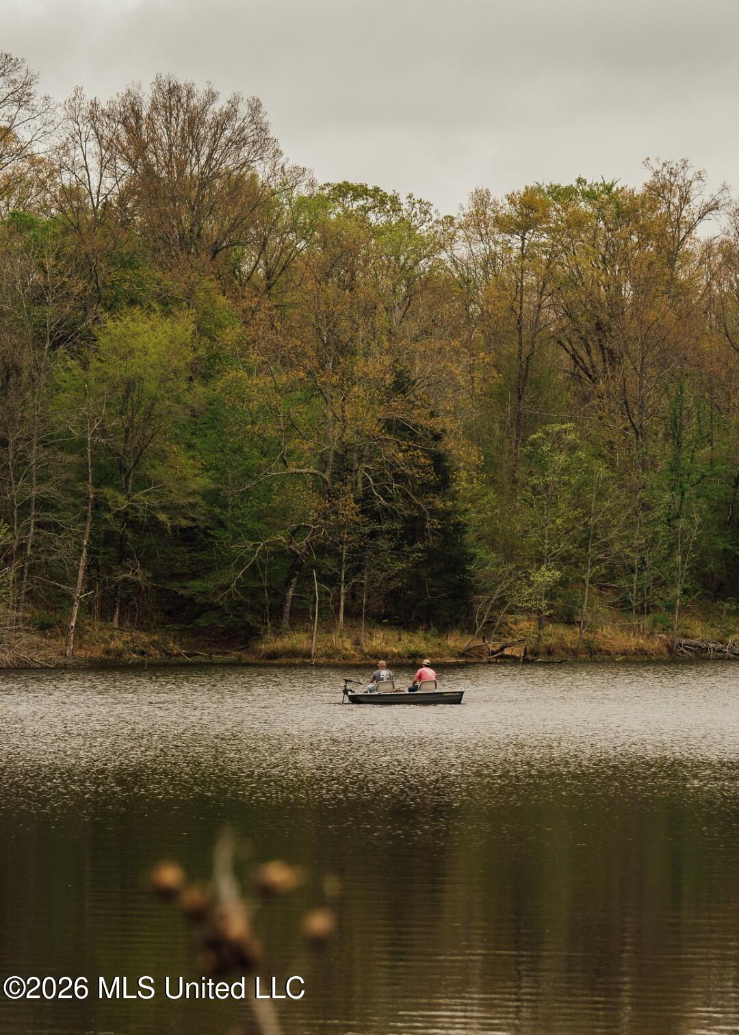 2776 Sees Chapel Road Sarah, MS 38665 - Photo 97 of 124 Panola 235 -118 (Large)