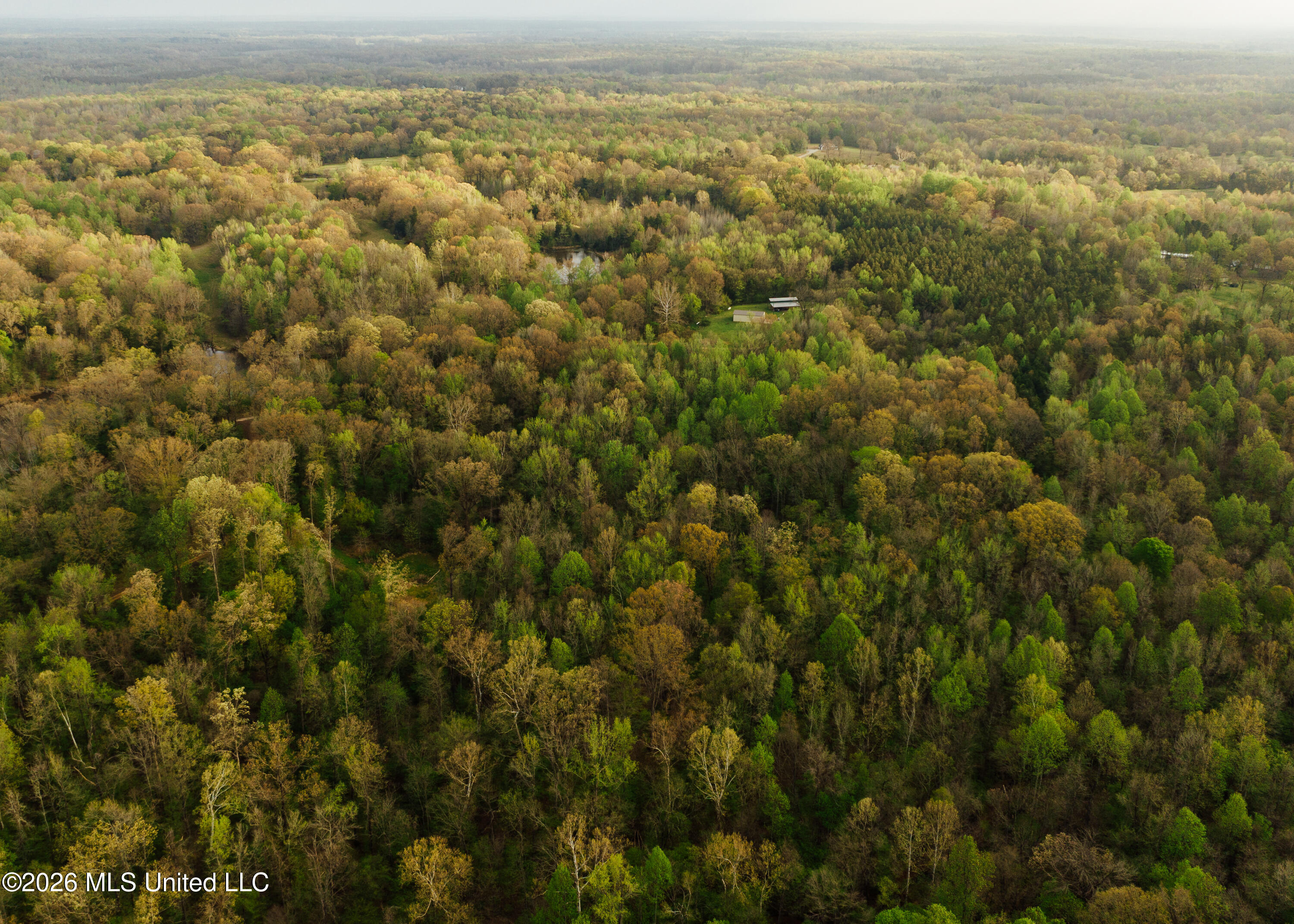 2776 Sees Chapel Road Sarah, MS 38665 - Photo 10 of 124 Panola 235 -10