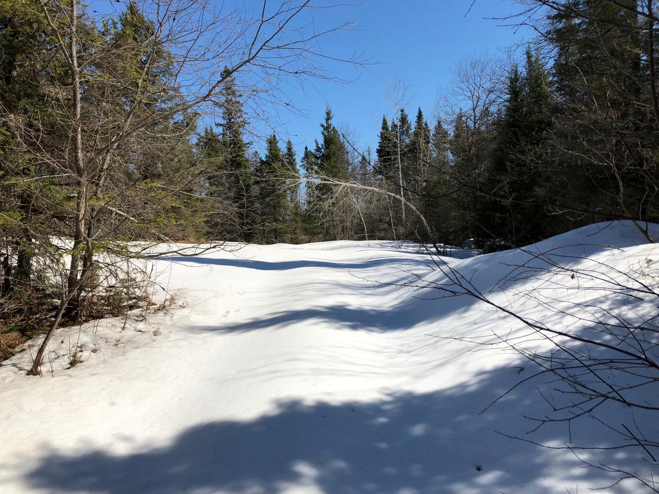 Off West Harding Road Bessemer, MI 49911 - Photo 27 of 30 Gallery Image 27