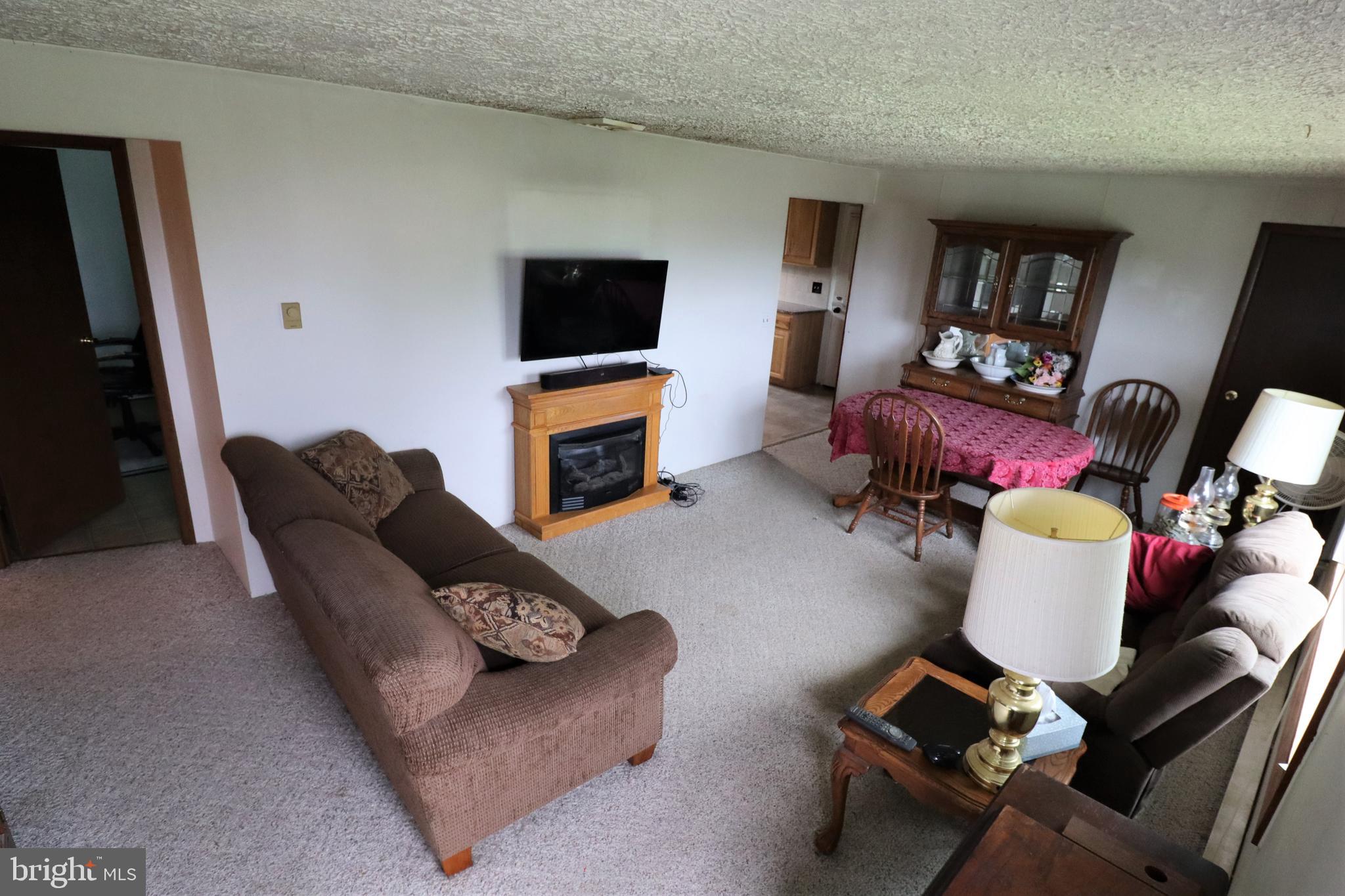 1260 Felton Road Felton, PA 17322 - Photo 3 of 21 Living Room w/ Propane Fireplace